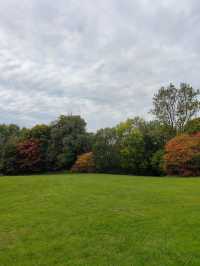 Queen’s Park in Autumn – A Symphony of Colour and Calm