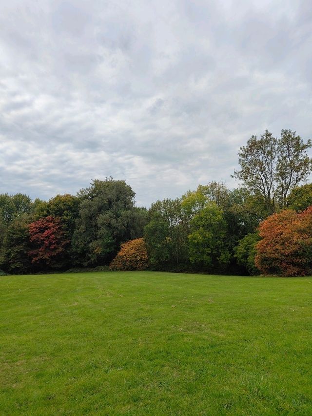 Queen’s Park in Autumn – A Symphony of Colour and Calm