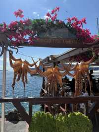 Dining at Ammoudi Fish Tavern: Seafood Dreams & Sunset Vibes 🌅
