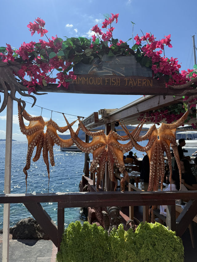 Dining at Ammoudi Fish Tavern: Seafood Dreams & Sunset Vibes 🌅