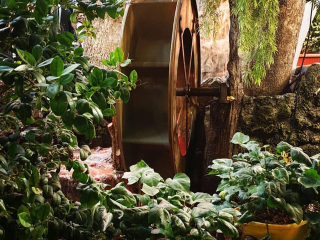 Hidden among the green hills of northern Tehran, the Water Mill Restaurant (Āsiyāb Ābi) in Farahzad 