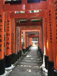 Fushimi Inari: Magical Foxes and Thousands of Tori