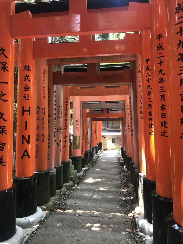 Fushimi Inari: Magical Foxes and Thousands of Tori