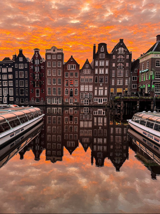 🚲 Cycling the Canals: Amsterdam's Budget-Friendly Charm