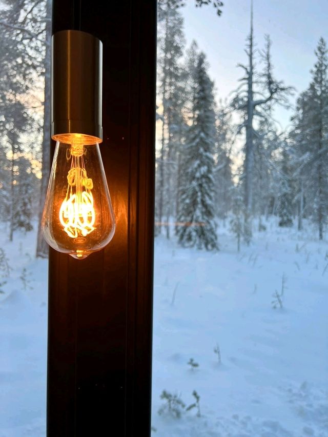 Snowy Forest Dream🌲 Snowy Forest Dream🌲