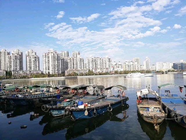 Shekou Sea World 🌟