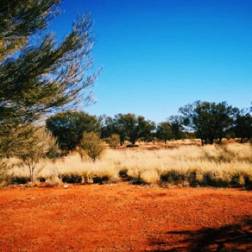中央澳洲：紅土、大天空與內陸魔力
