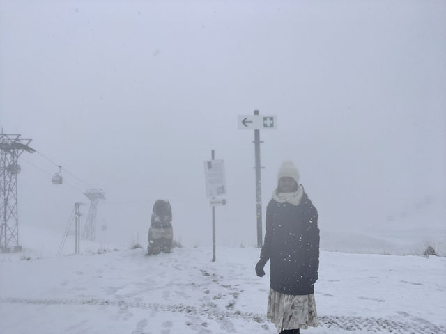 Switzerland! Switzerland!