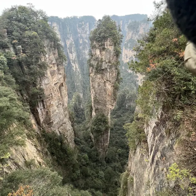 Zhangjiajie National Forest Park. 