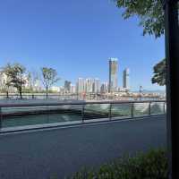Shenzhen bay Shekou, Miami 😎