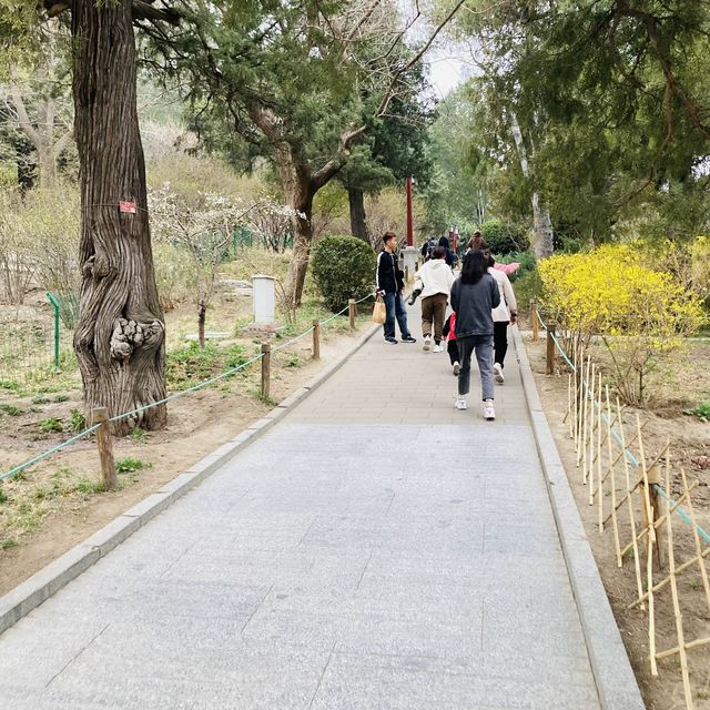 JINGSHAN PARK in the center of BEIJING 