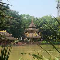 Manting Park - expect the unexpected 