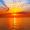 Timely Moments