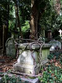 Highgate Cemetery - London  