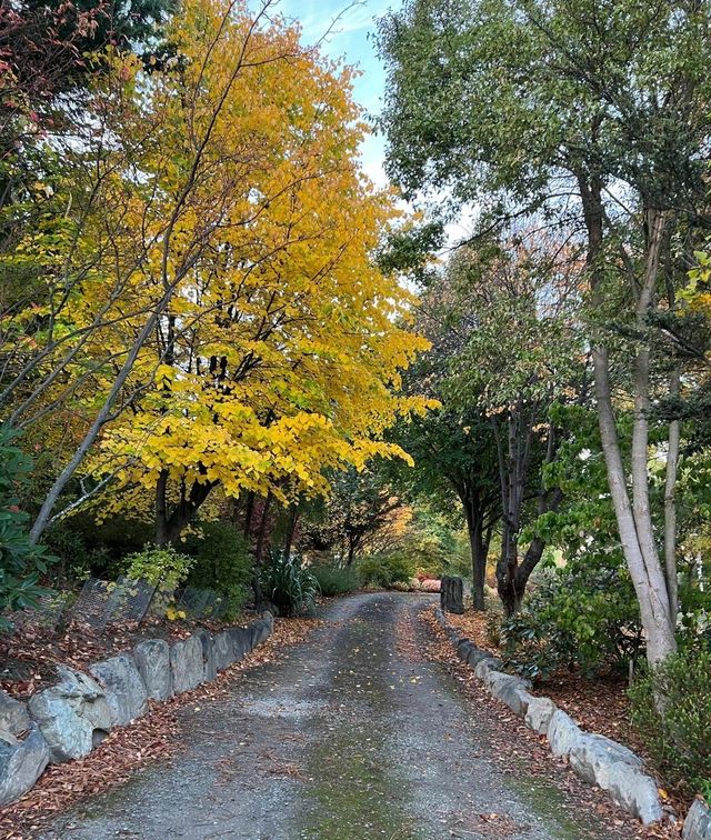 Lake Tekapo in autumn