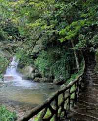 Shennong Valley National Forest Park