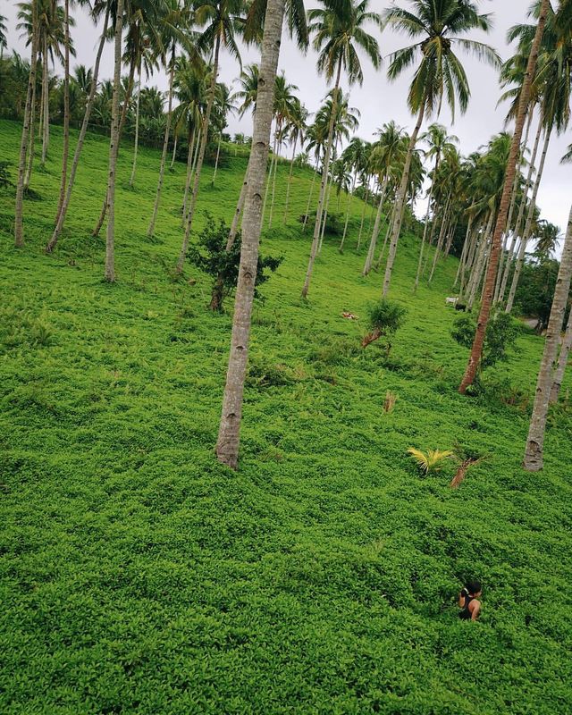 Camiguin's Green Oasis 🌴🌿 Uncovering the Love for My Island Home