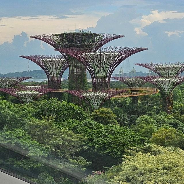 Gardens by the Bay