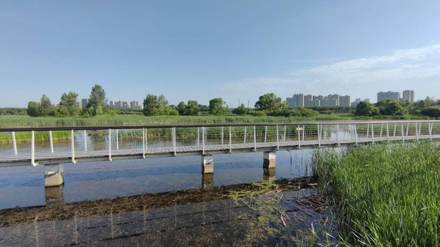 哈爾濱文化中心濕地公園