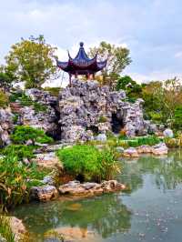 秋季遊申園，拍照絕佳時