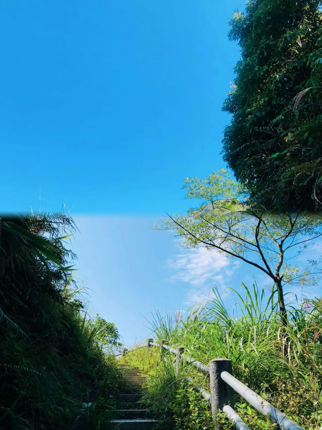 風車山浮山嶺，一個拍照自帶濾鏡的地方