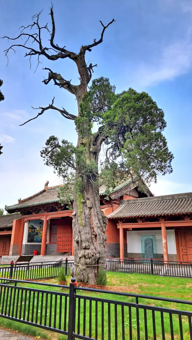 There is a Ji Di Temple in Jiyuan, which has been around for 1500 years