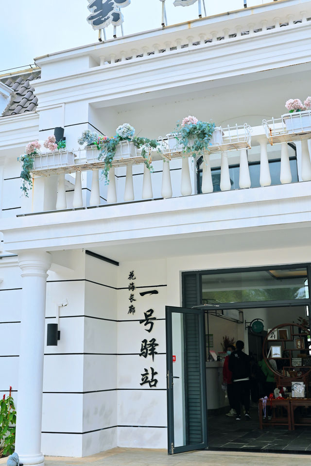 橫琴花海長廊異木棉開花啦！親子野餐好舒服~