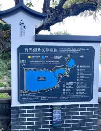 水天一色，恬靜安祥～和順古鎮野鴨湖