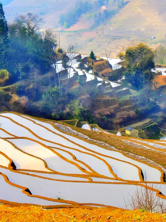 Tiger Mouth Terraces - A Spectacular Natural Wonder