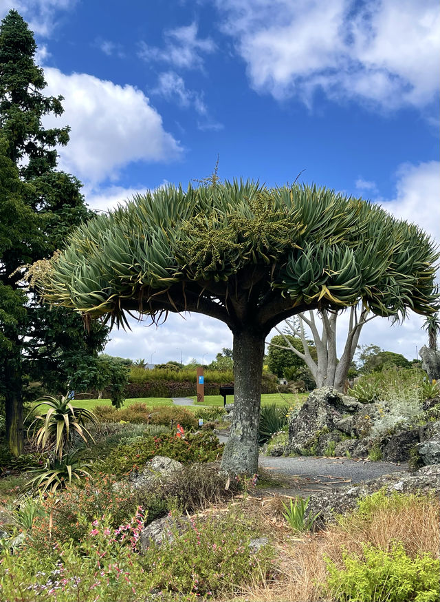 花卉王國 奧克蘭植物園 奧克蘭