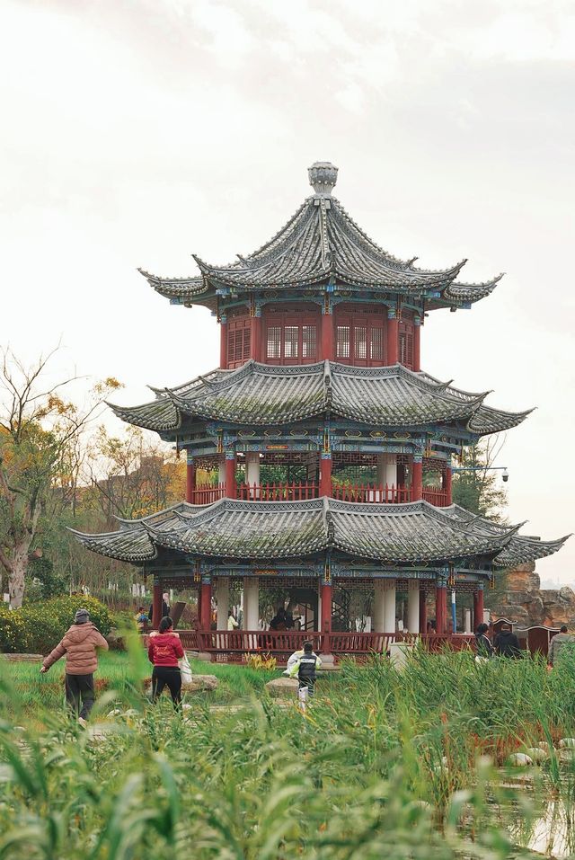 城市中的桃花源|帶你走進如畫雲南保山觀鳥