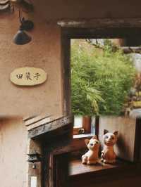 大西安！好好逛！撸貓、撸狗、發呆一整天