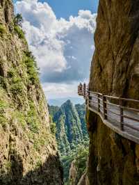 豫C洛陽｜老君山風景名勝區感受一步一景