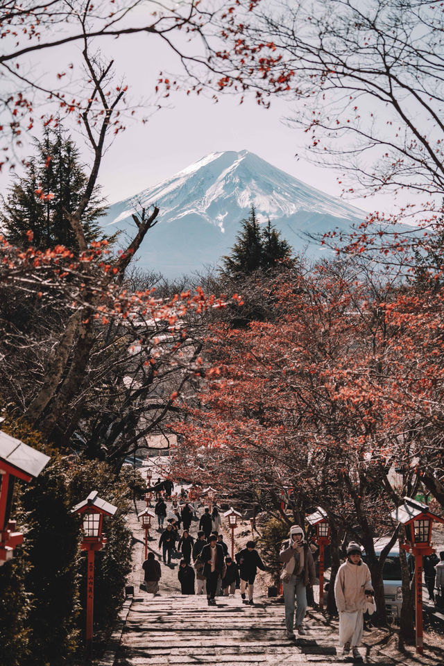 富士山一日遊下吉田河口湖機位大整理