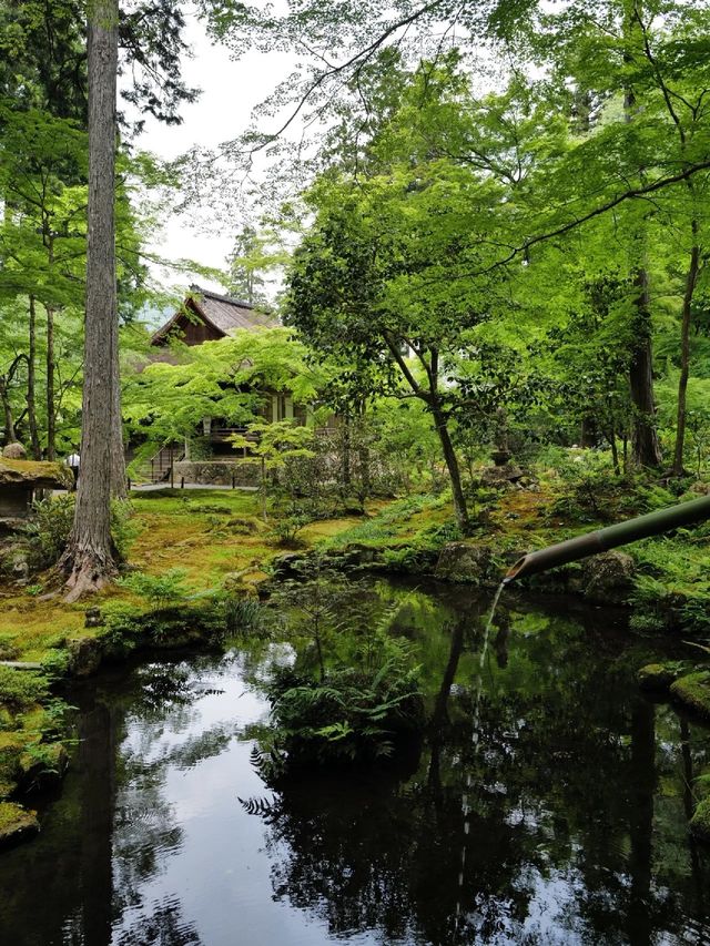 京都❶day治癒之旅🍃