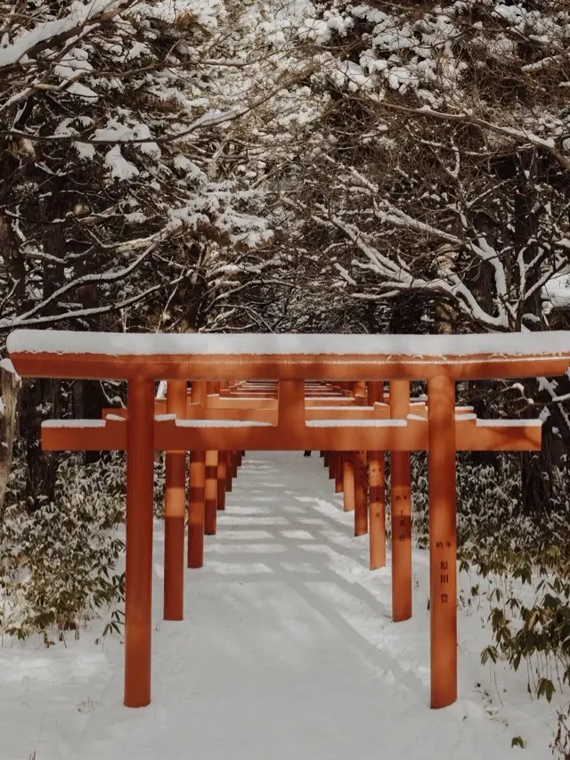 札幌唔得唔去嘅另一個打卡地，比諗像中靚