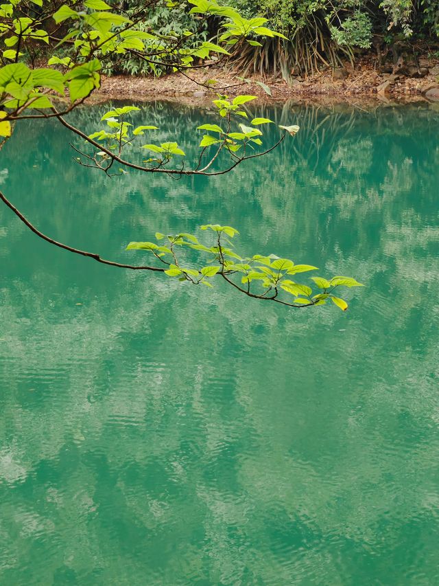 鼎湖山