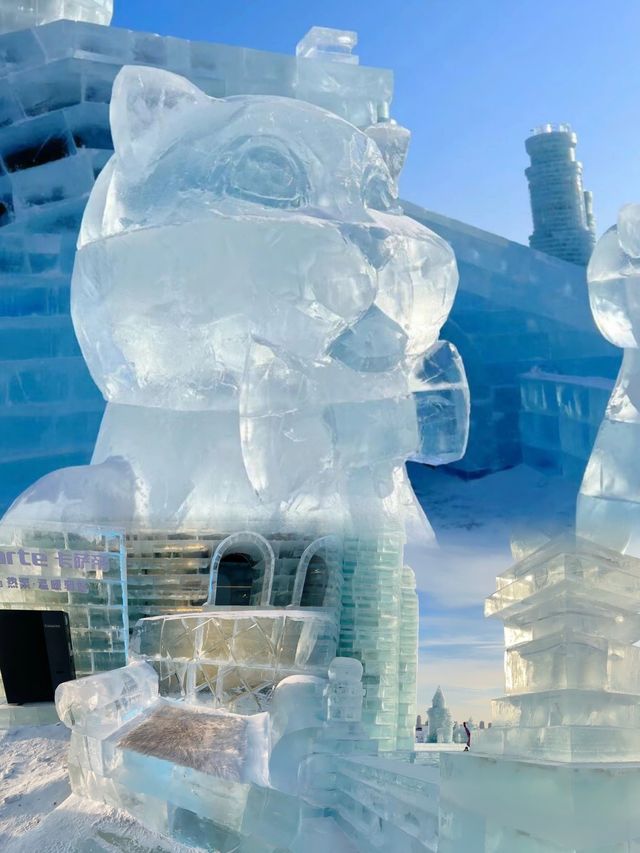 期待！今年哈爾濱冰雪大世界是史上最大規模