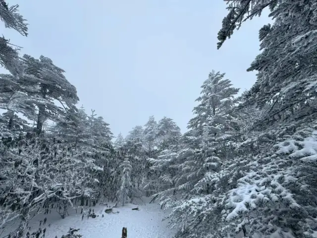 雲南|這兩天的驕子雪山，美的不像話！