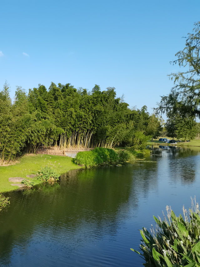 請收下這篇：辰山植物園遊園指南