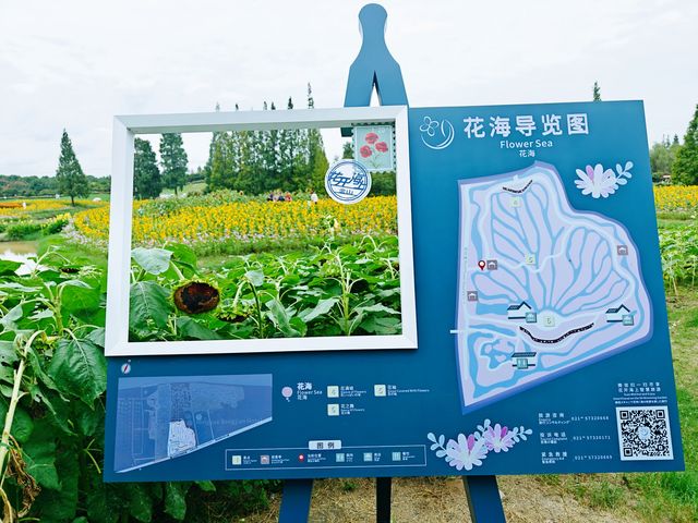 花開海上的確是個漂亮的公園，設施和服務都很好