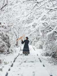 N刷西嶺雪山保姆級耍雪攻略