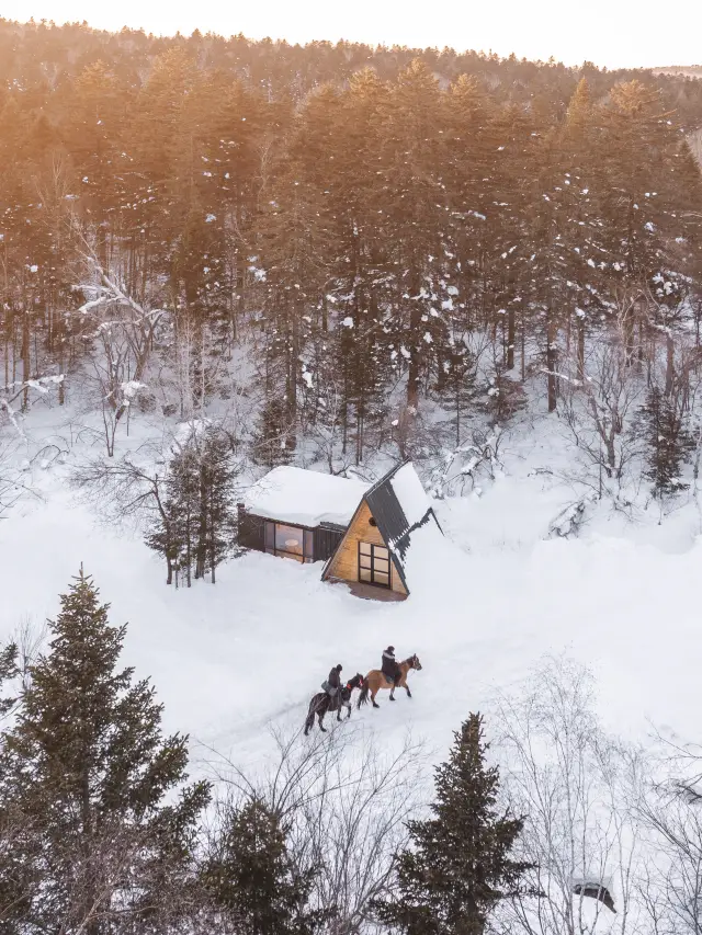 この冬、ついに童話の森の小屋に住むことができました