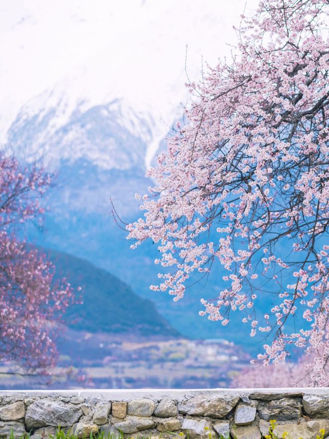 三月的林芝，浪漫至極的桃花仙境