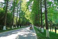 東台黃海森林公園一遊