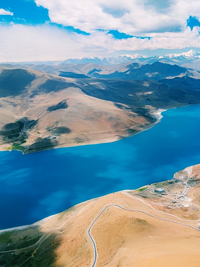 羊卓雍措湖鳥島和鳥類數量均為全國罕見