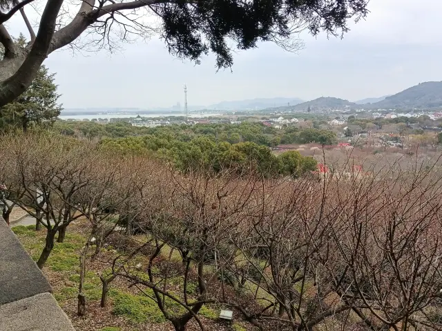 봄 휴가, 수주는 사람들로 붐비며, 향설해에서 매화를 보는 것이 어떨까요