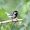 _Eric_271
