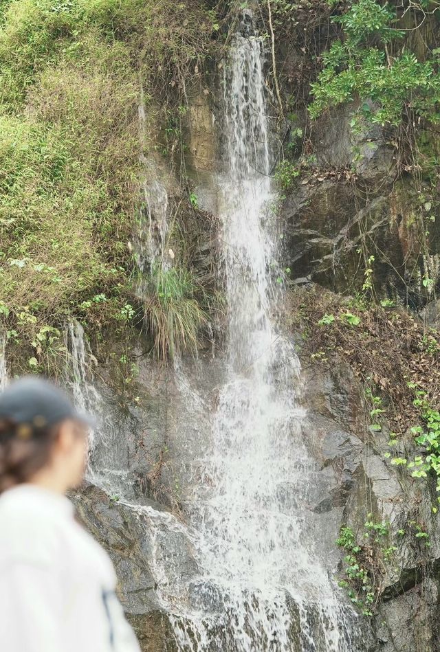 廉江～謝鞋山家庭遊玩半日遊