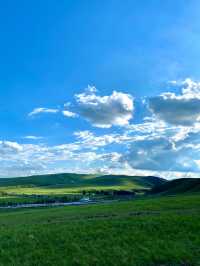 來通遼你不住這兒 你糊塗啊